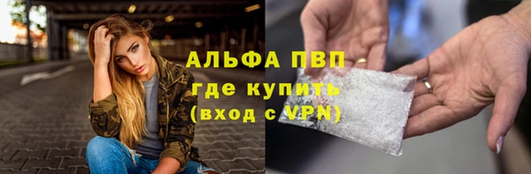 сатива Абинск