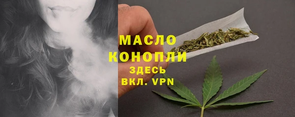 сатива Абинск