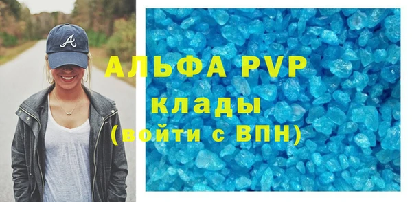сатива Абинск